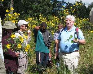 Botanists near a row of yellow flowers.